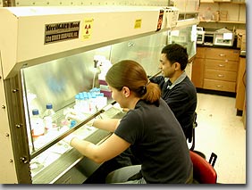 Students in working in lab